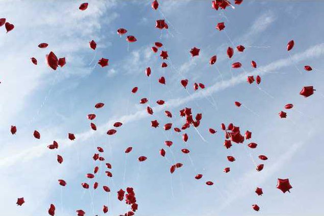 Balloons in Air Web