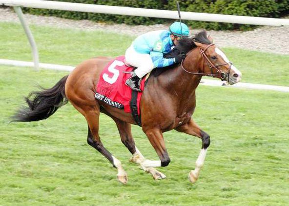 Get Stormy - The Makers Mark Mile Gr 1 - 23rd Running - Aerial.JPG