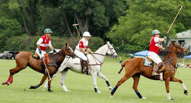 Polo Pic