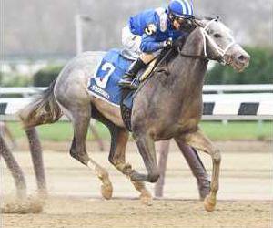 Remsen