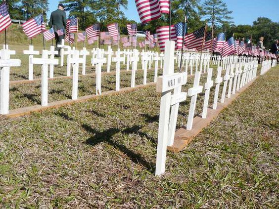 Veterans Day photo -Web