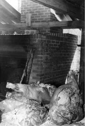 bbq meats