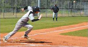 bunt