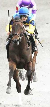 CIAO BELLA LUNA The Beaumont Presented by Keeneland Select Gr II - 04-14-13 KEE - HeadOn