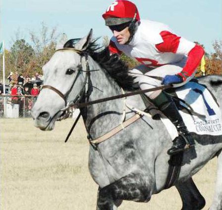 Slip Away wins Cup