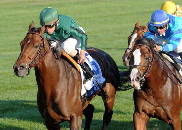 Gio Ponti - The Shadwell Turf Mile - Inside Finish2.JPG
