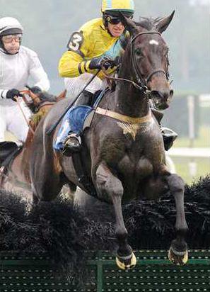 demonstrative