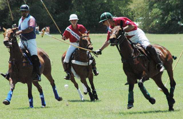 Polo 1.JPG