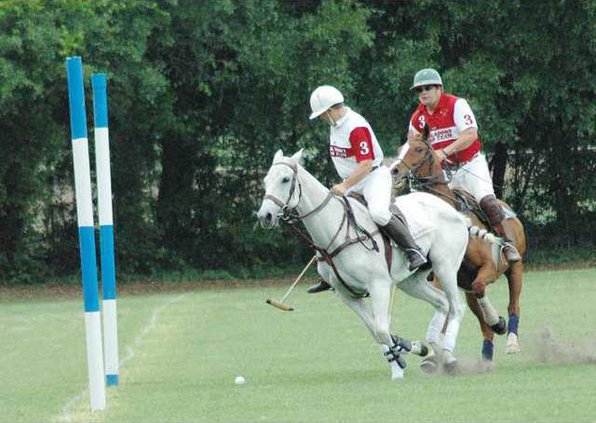 Polo goal.JPG