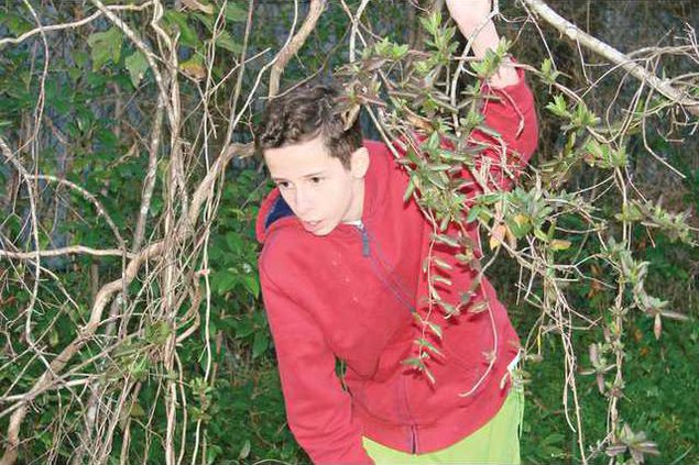 christopher robin Pooh cast WEB
