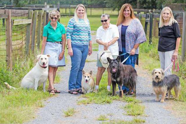 Fostering Foster Web