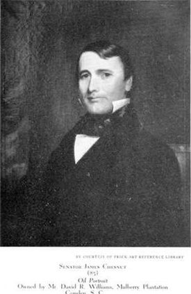 Chesnut Portrait