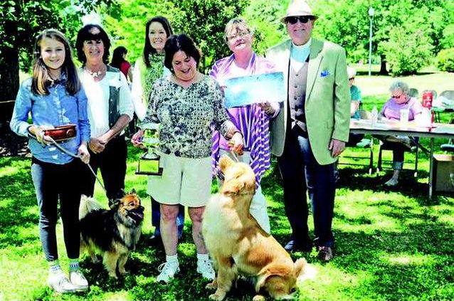 DogShow1 WEB