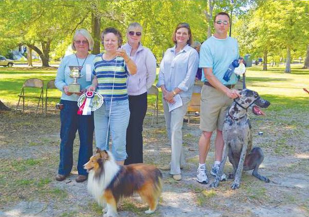 DogShowWinners web