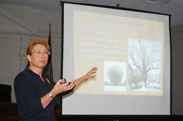 Tree forum 1.JPG