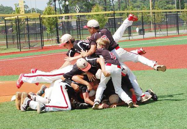 ant pile