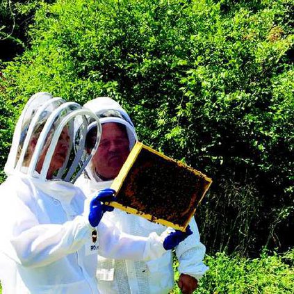 BEES9 T