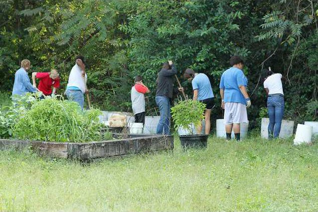 djj0 group gardeningwork SparkleGraham