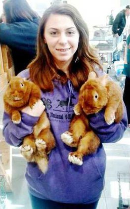 Rabbits - Kat Ellig Web