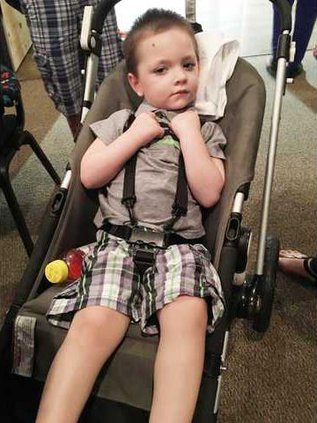 Brayden Web
