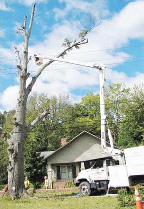 Trees - Bucket Truck
