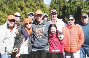 dabo