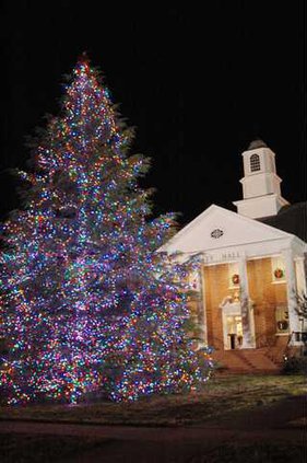 Christmas Tree for Web