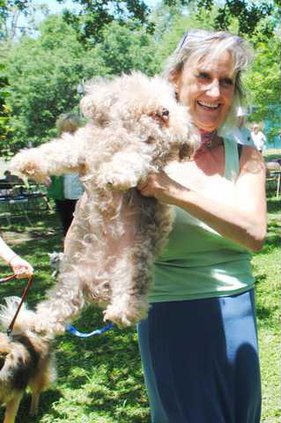 Dog Show - Showing Off