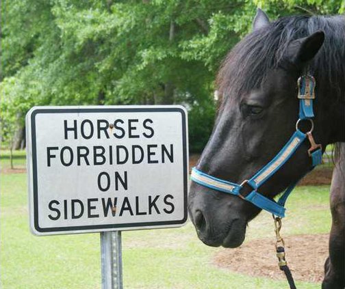 Horse Sign Photo
