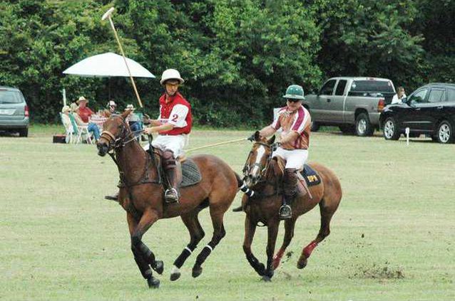 Polo Pic
