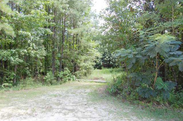 Sweet Gum Trail