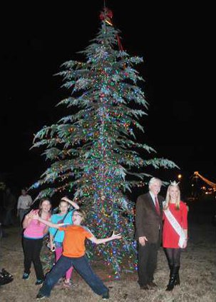 Camden Christmas Tree
