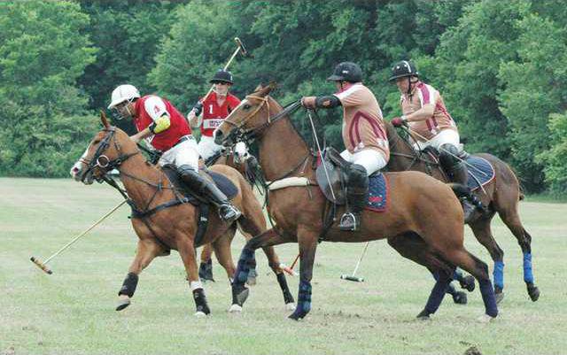 Polo Pic