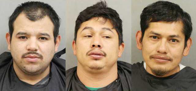 Suspects Web