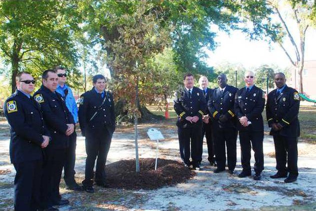 firemen near cherry bark oak