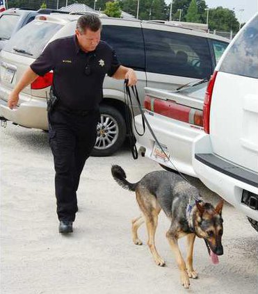 Drug Dog Elsa