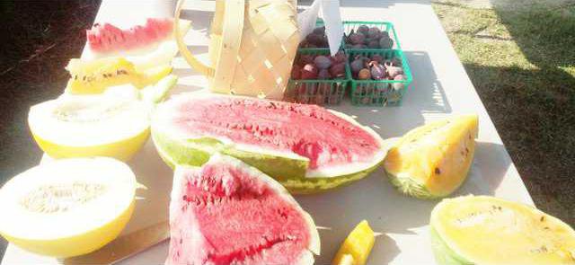 Farmers Market 2
