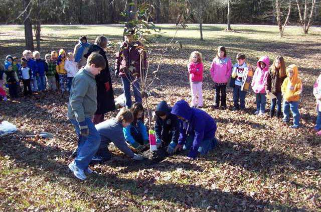 Montessori Arbor Day 3