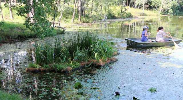Wetland Web
