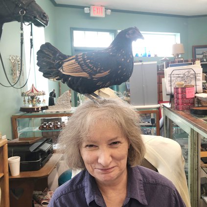 Raven the Chicken 1 (Web).jpg