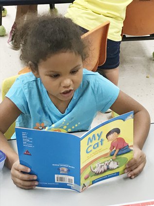 Book Reader (Web).jpg