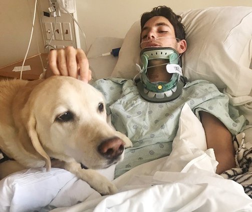 KP - Therapy Dog