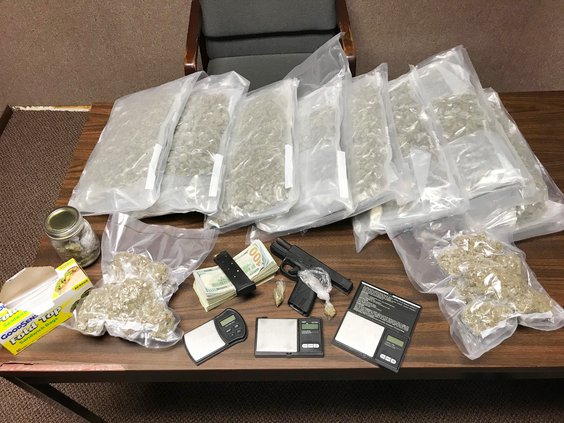 Marijuana Bust