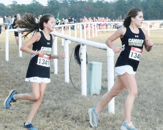 CHS XC web