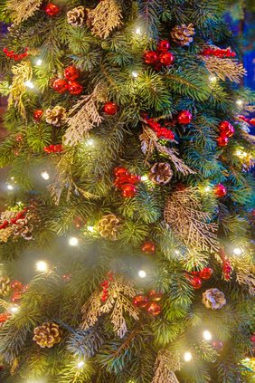 Tree Lights