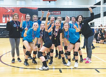 vball web