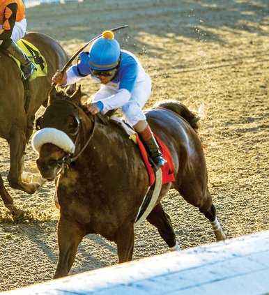 Oaklawn web