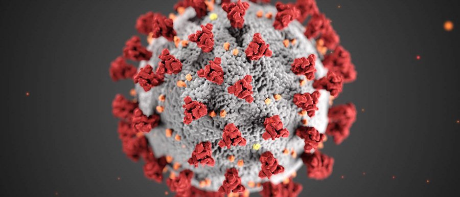 New Coronavirus Graphic