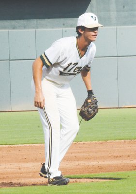 Jansen web