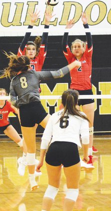 vball web